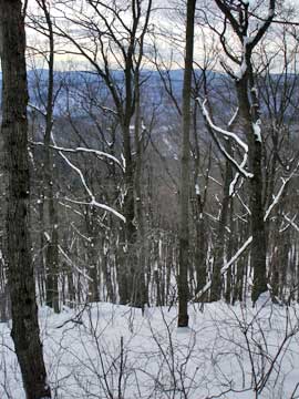 balsam mountain