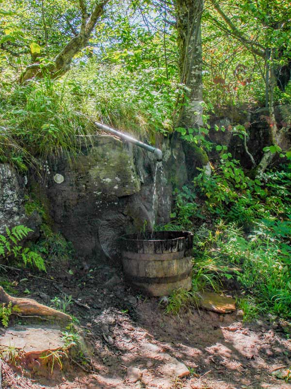 water source on the west side of the summit of Hunter Mountain