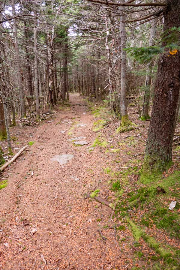 The Hunter Mountain Trail becomes a beautiful hiking trail