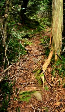 southwest hunter summit trail