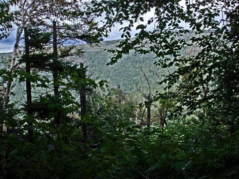 view of the spruceton valley from southwest hunter or Leavitt's Peak