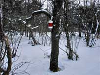 rusk mountain