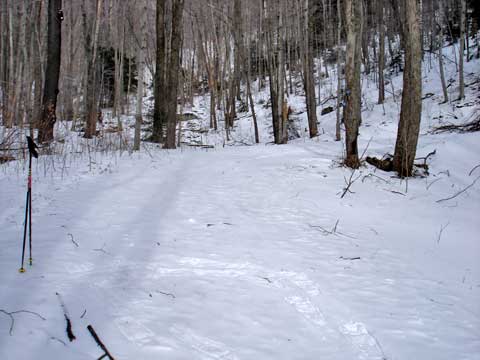 rusk mountain