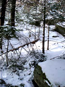 rusk mountain