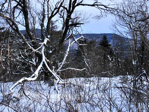 rusk mountain