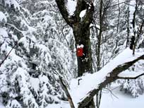 sherrill mountain