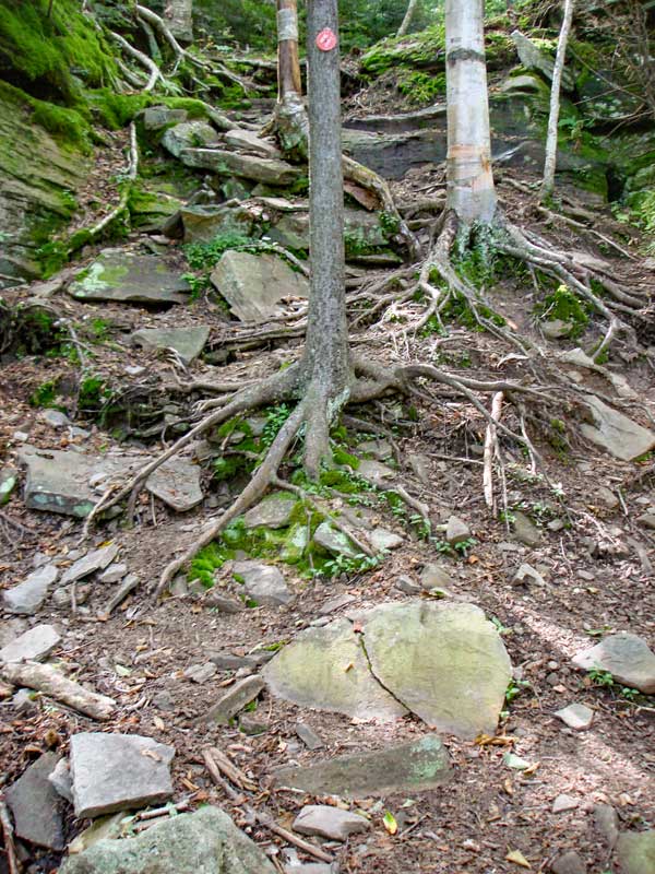 steep section of West Kill Mountain