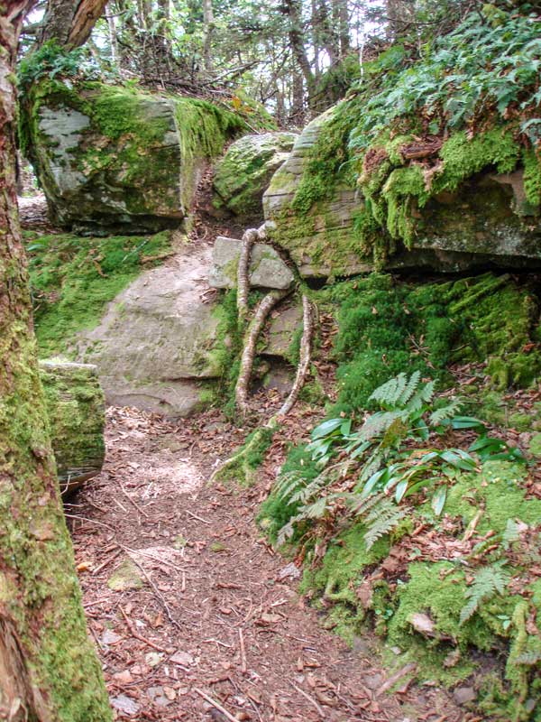West Kill Mountain Trail