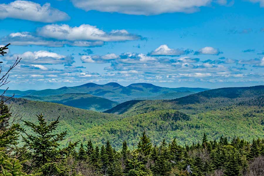 Buck Ridge Lookout on West Kill Mountain