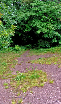 trail to water cistern of kaaterskill hotel