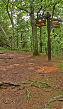 Escarpment Trail Junction near North and South Lake