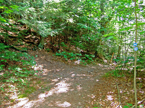 old bridge crossing Lake Creek above kaaterskill falls