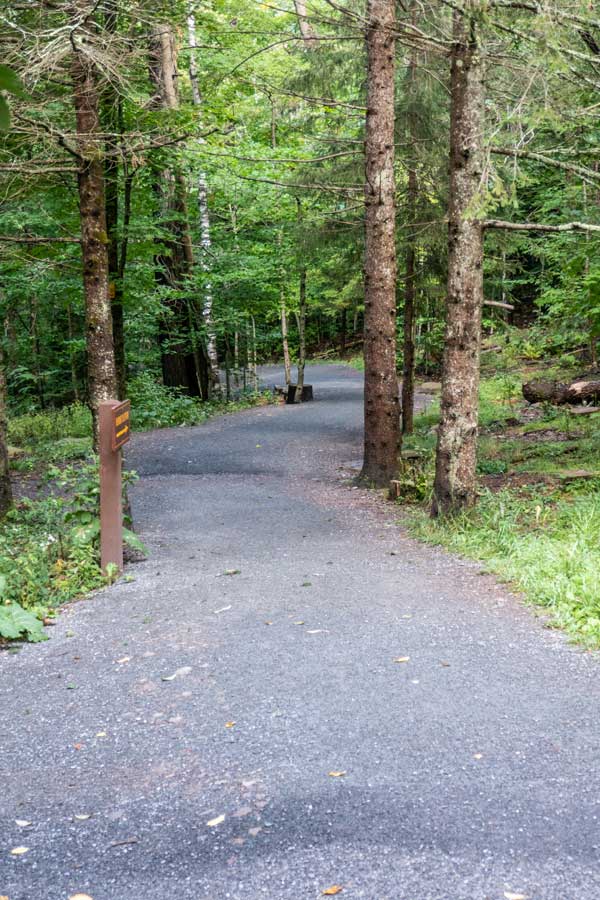 Trail down to kaaterskill falls viewing platform