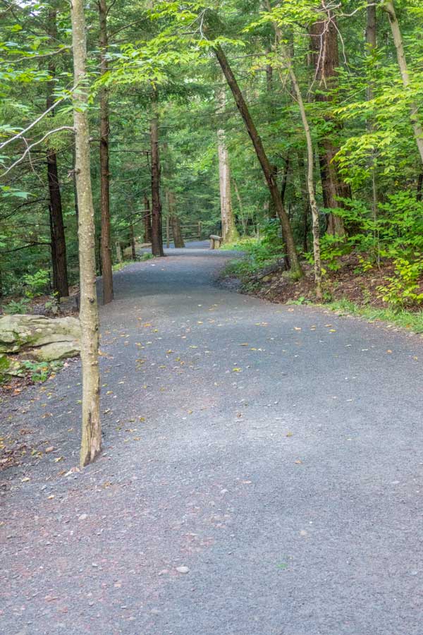 Trail down to kaaterskill falls viewing platform