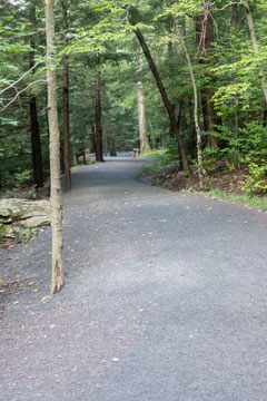 Trail down to kaaterskill falls viewing platform