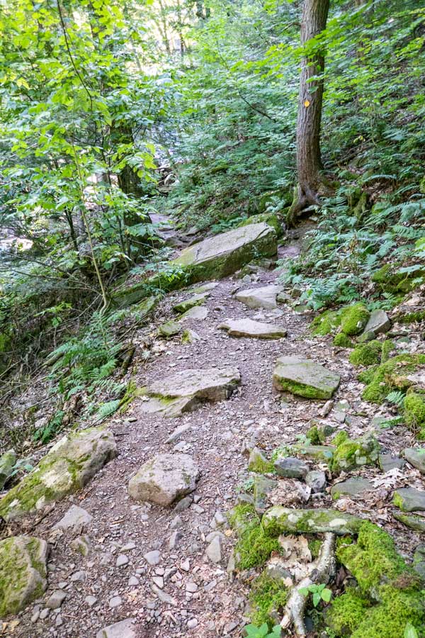 trail to bastion falls