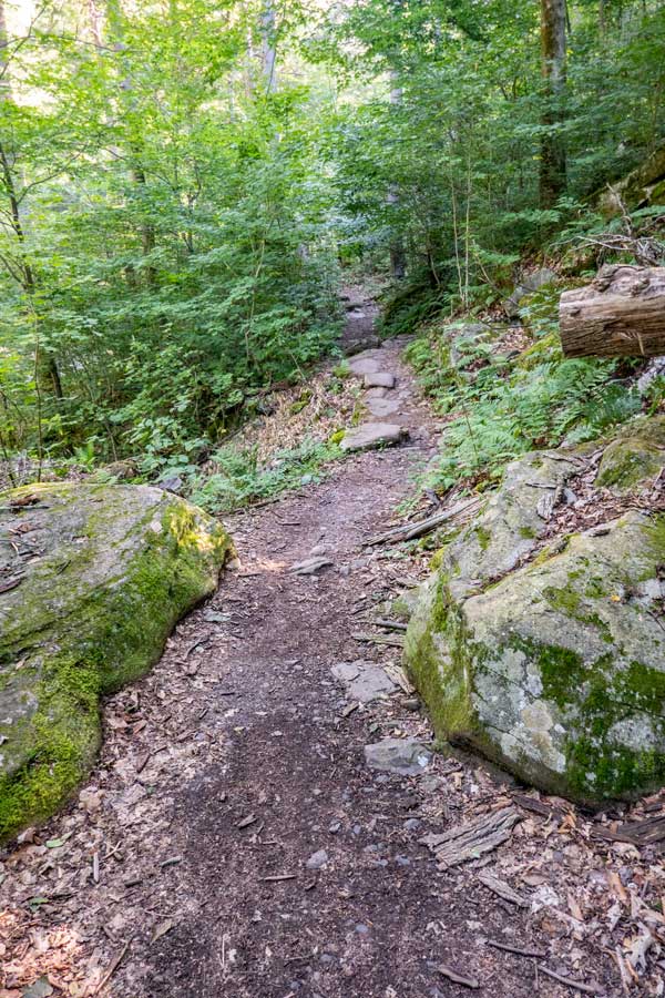 trail to bastion falls