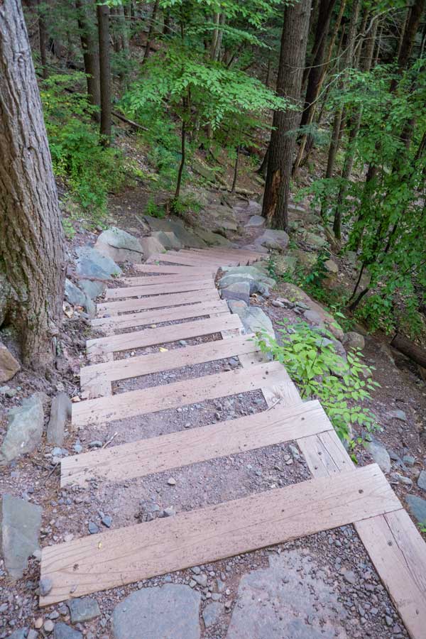 wood & dirt steps down to bastion falls