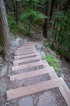 wood & dirt steps down to bastion falls