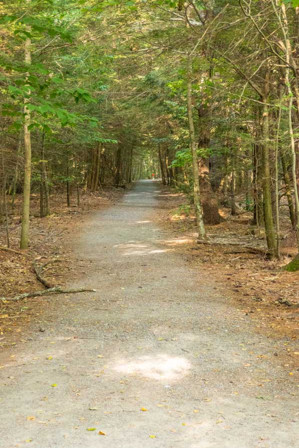  kaaterskill rail trail