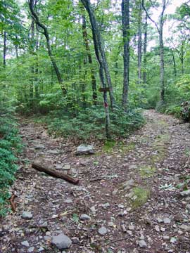 beginning of trail to the Yankee Smith Trail