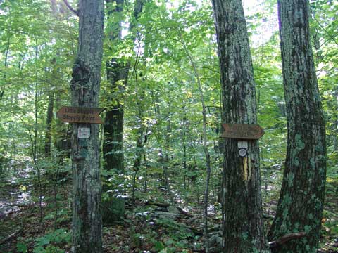 trail signs to little stoppel point and yankee smith trail