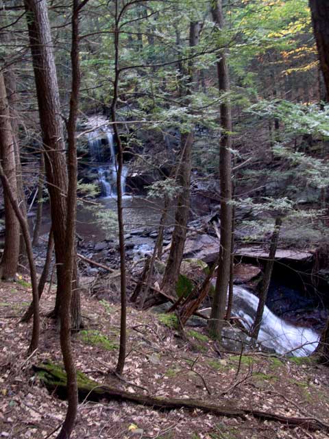 countryman kill waterfalls #4 and #5 from the logging road