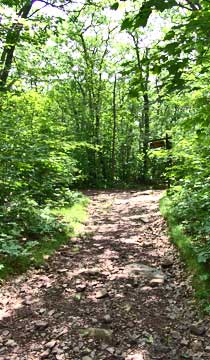 trail intersection at kaaterskill hotel