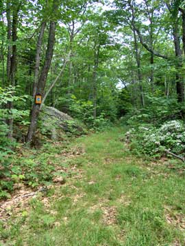 trail junction at the kaaterskill hotel site