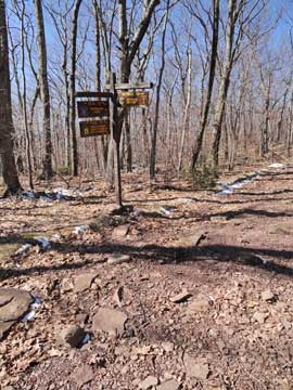 trail junction at the kaaterskill hotel site