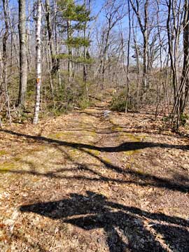 trail up to kaaterskill hotel