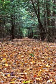 new hike listing of Kaaterskill Rail Trail in the catskill mountains