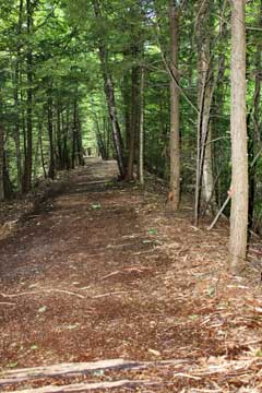 view of the kaaterskill rail trail