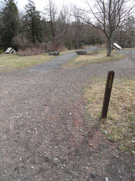 yellow trail around north lake