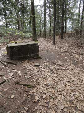 yellow trail near the eastern escarpment