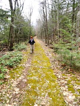sleepy hollow trail