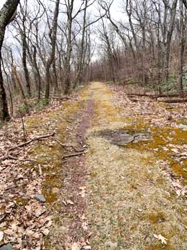 hairpin turns on the sleepy hollow trail