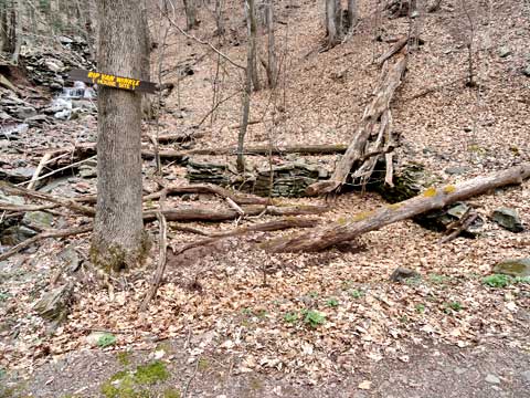 rip van winkle house ruins and foundation