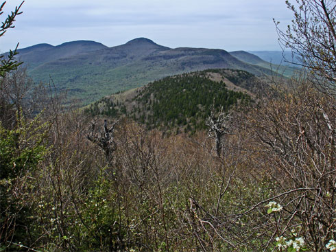 second view point on stoppel point overlooking the blackhead mountain range