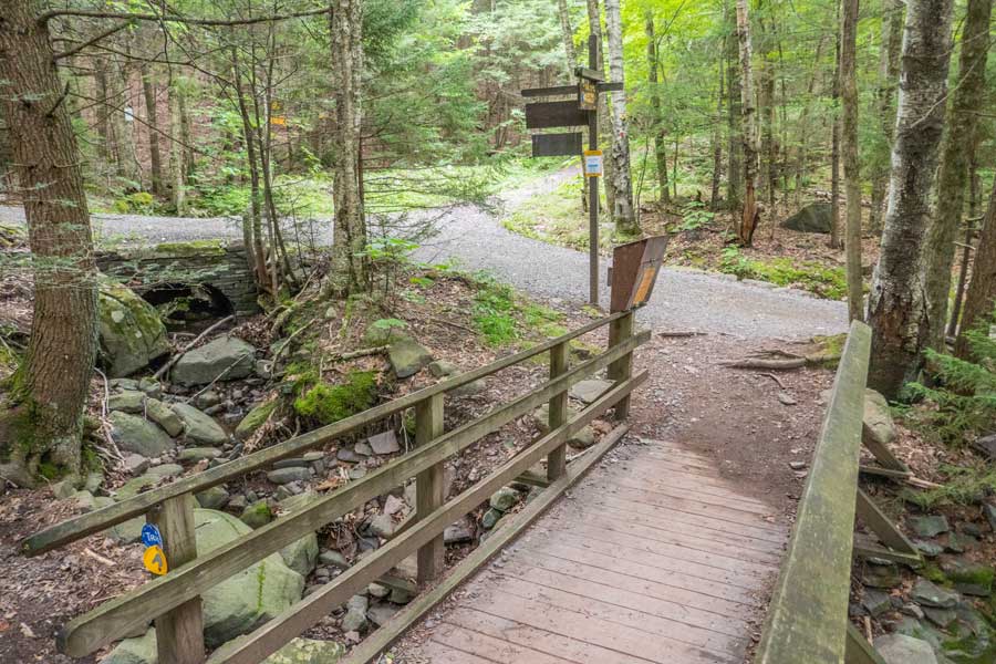 4-way intersection for the escarpment trail and the cross-country ski trail