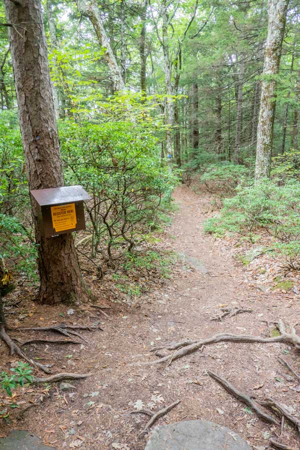 Escarpment Trail by North-South Lake Campgrounds
