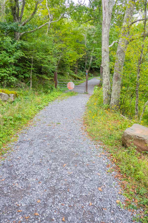 escarpment trail by the North Lake Beach area