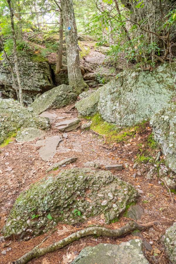 The Escarpment Trail going south of the Catskill Mountain House