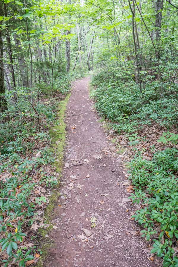 the escarpment trail between Boulder Rock and the Kaaterskill Hotel Ruins