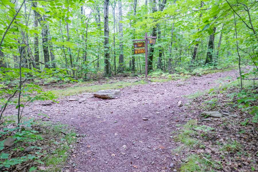 trail junctions near the ruins of the Kaaterskill Hotel