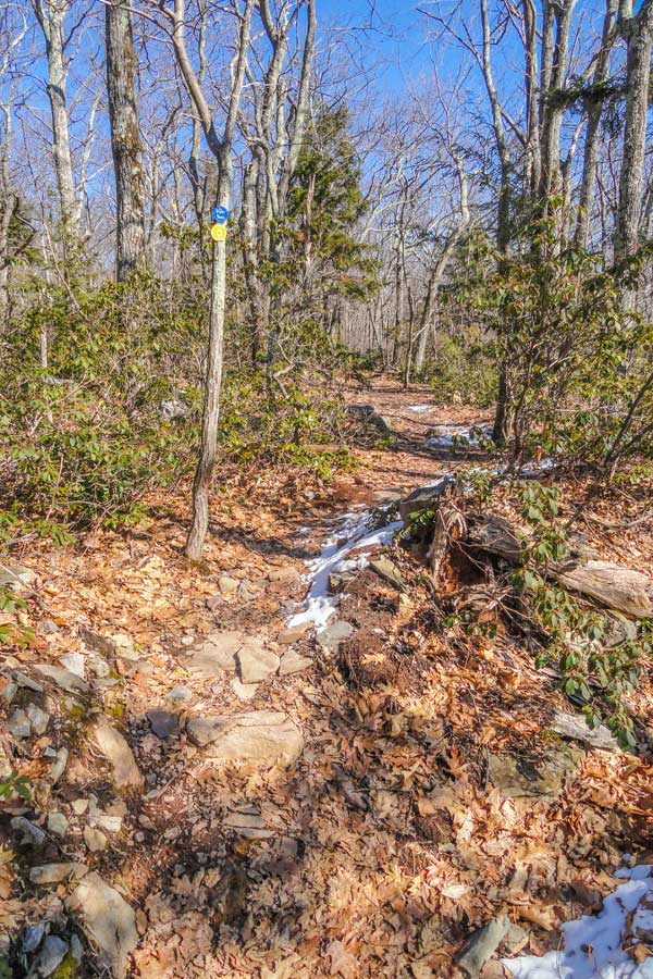 Part of the Escarpment between the Kaaterskill Hotel and the trail junction to Harding Road