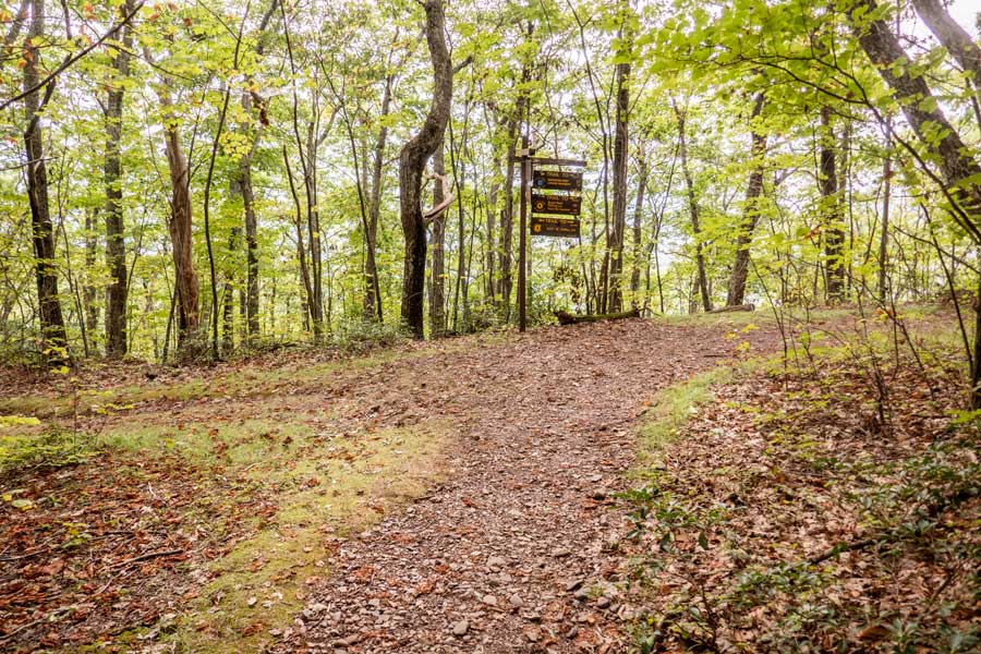 Trail Junction of the Escarpment Trail and the Harding Road