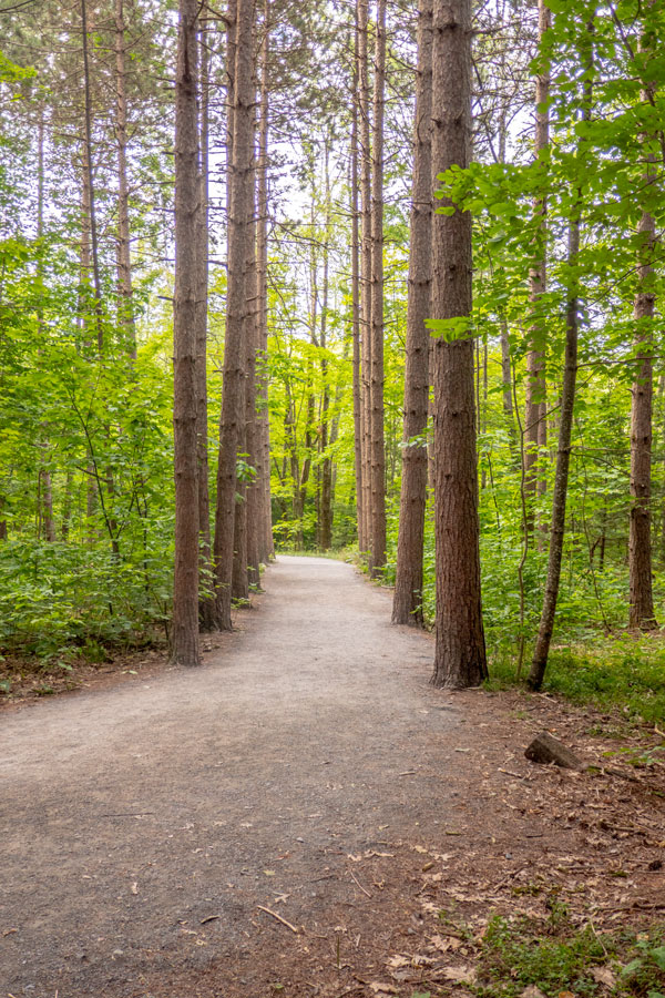 beginning of hike to kaaterskill falls and the escarpment trail