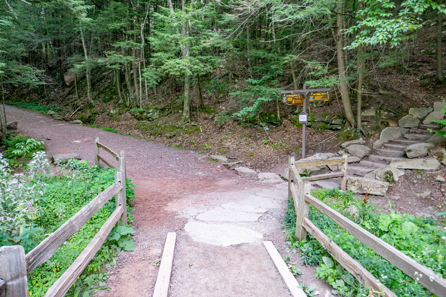 trail junction near the bridge over lake creek