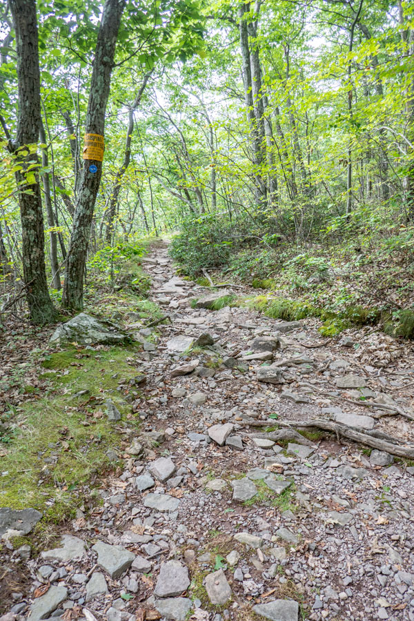 beginning of the southwestern section of the escarpment trail